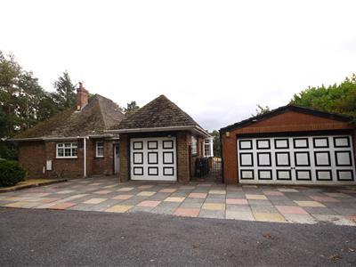 Picture 22